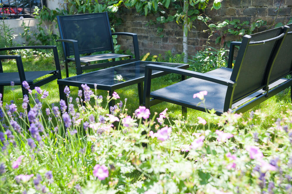 Guest&#39;s garden 1